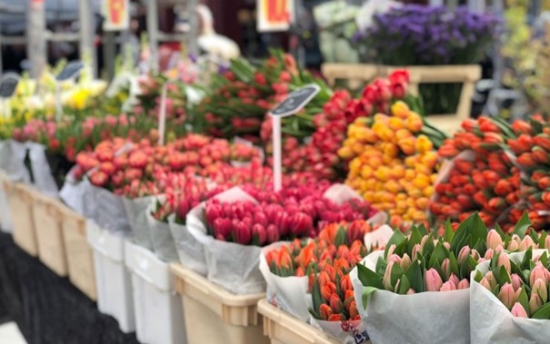 Marché aux fleurs de Aalsmeer